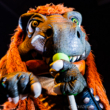 Heavysaurus em Berlim – Energia jurássica plena no palco